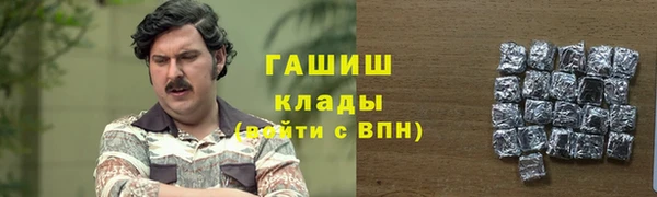 ECSTASY Богданович