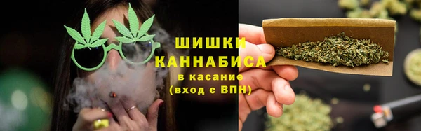 ECSTASY Богданович