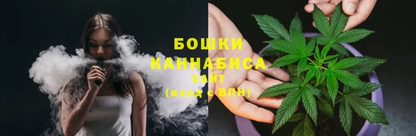 спиды Богородск