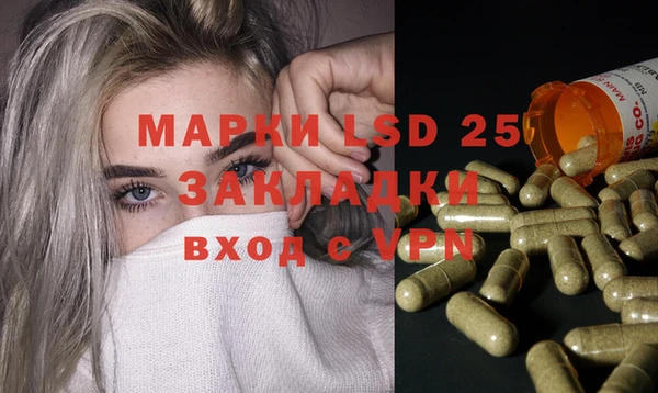 ECSTASY Богданович
