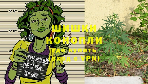 амф Богородицк