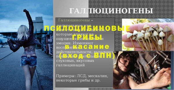 ECSTASY Богданович