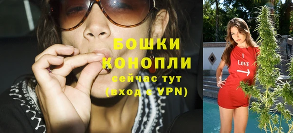 спиды Богородск