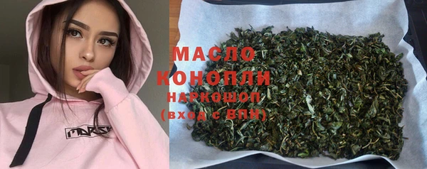 ECSTASY Богданович