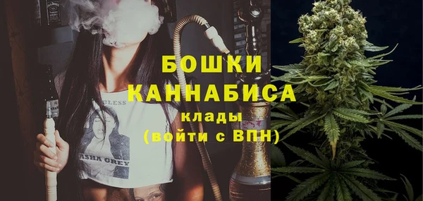 ECSTASY Богданович