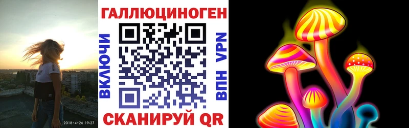 Псилоцибиновые грибы Magic Shrooms  цены наркотик  Дальнереченск 